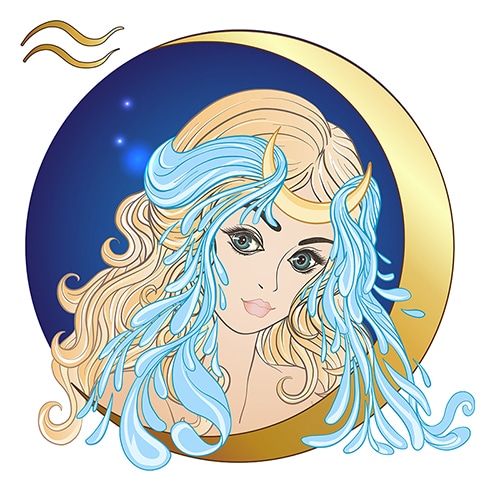 Aquarius flaws