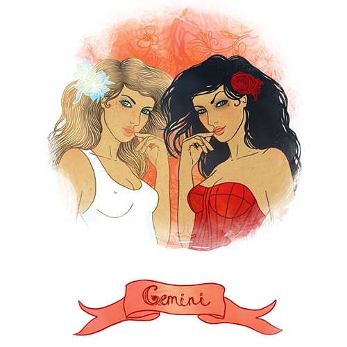 Gemini sign