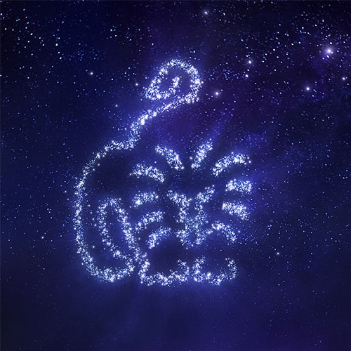 leo rising