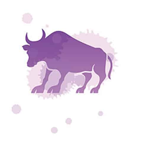 Taurus man's personality