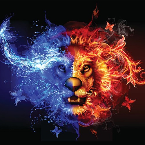 leo flaws