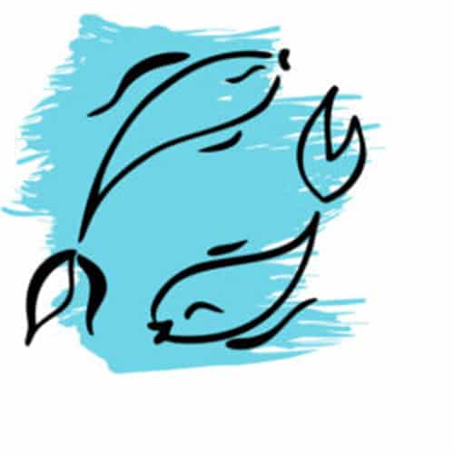 Pisces man