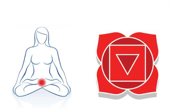 1er chakra Racine Muladhara