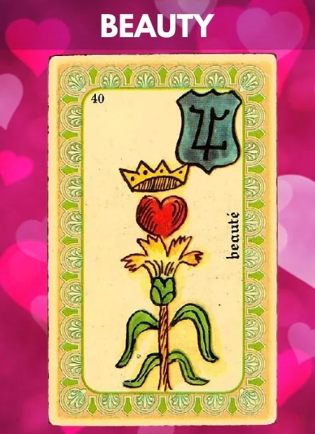 Beauty Single Belline Oracle