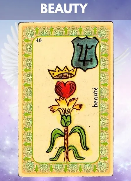 Beauty Wellbeing Belline Oracle