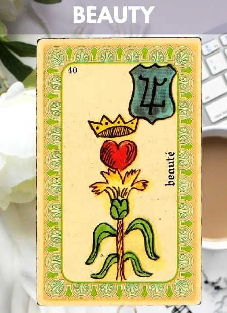 Beauty Work Belline Oracle