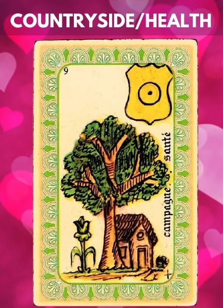 Countryside Single Belline Oracle