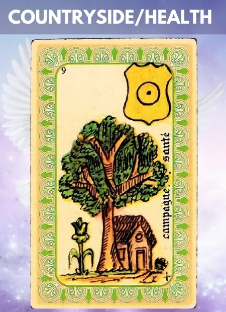 Countryside Wellbeing Belline Oracle