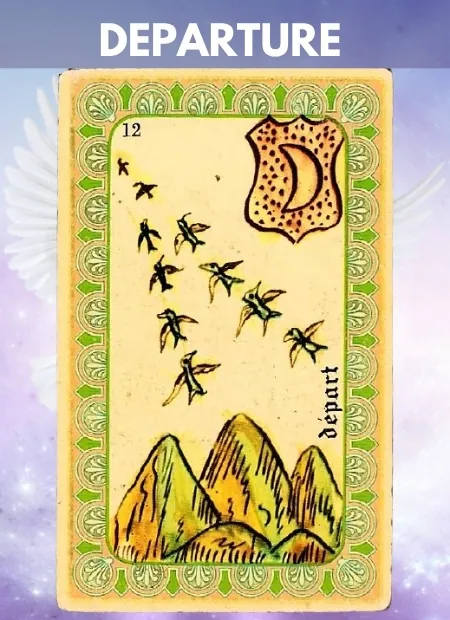 The Departure Wellbeing Belline Oracle