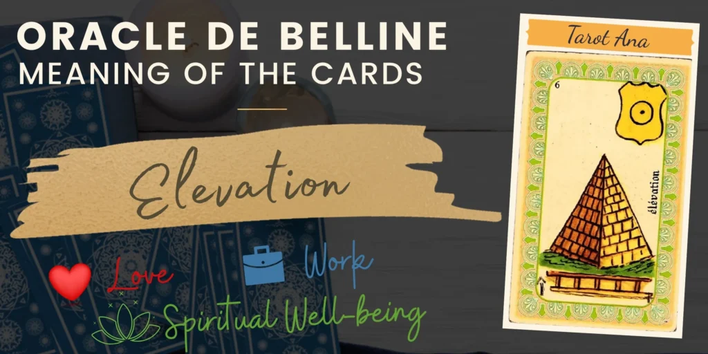 Elevation Belline Oracle