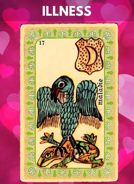 Illness Single Belline Oracle