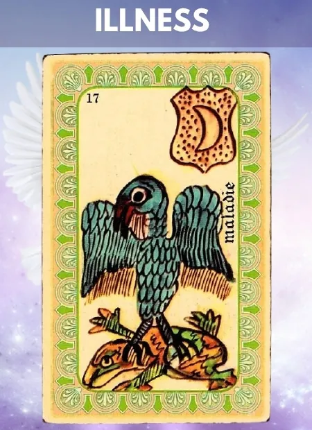 Illness Wellbeing Belline Oracle
