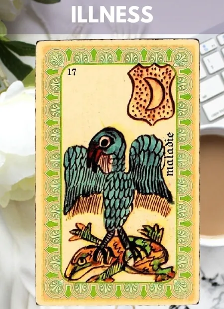 Illness Work Belline Oracle