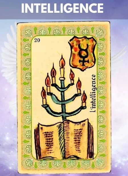 Intelligence Wellbeing Belline Oracle