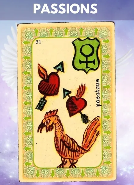 Passions Wellbeing Belline Oracle