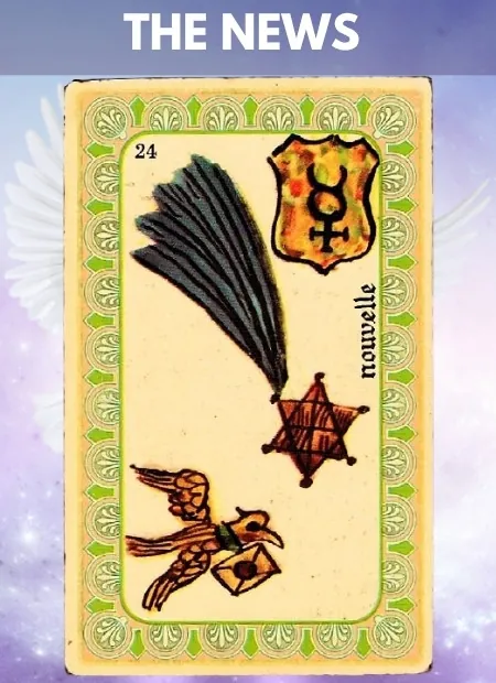 The News Wellbeing Belline Oracle