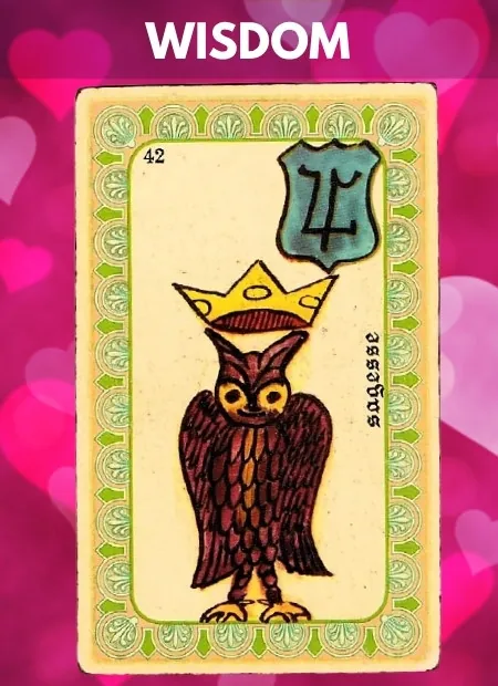Wisdom Single Belline Oracle