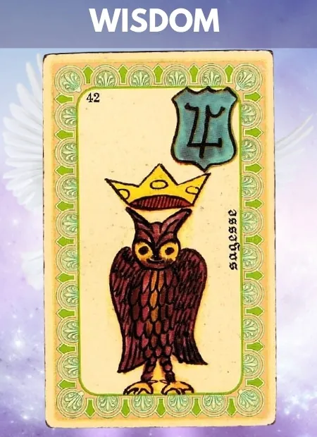 Wisdom Wellbeing Belline Oracle