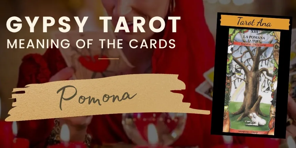 13 the pomana Death Gypsy Tarot