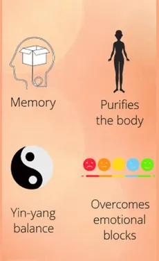 amber virtues
