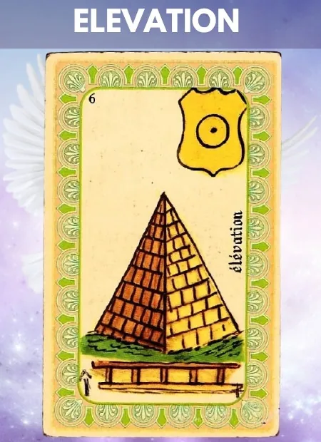 Elevation Wellbeing Belline Oracle