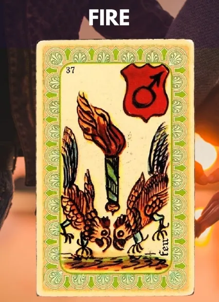 Fire Couple Belline Oracle