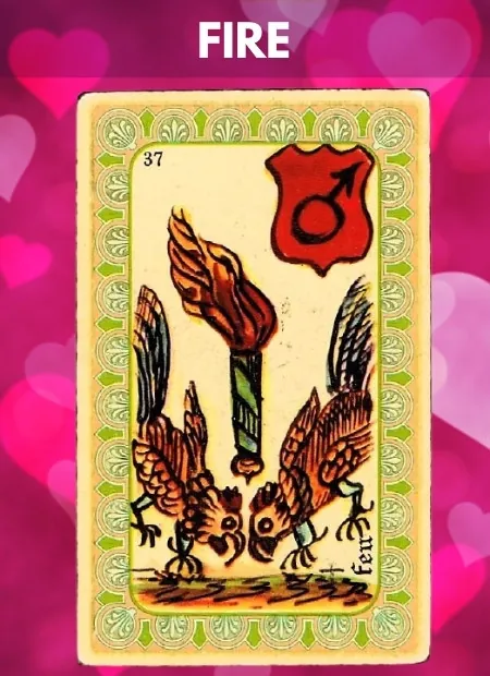 Fire Single Belline Oracle