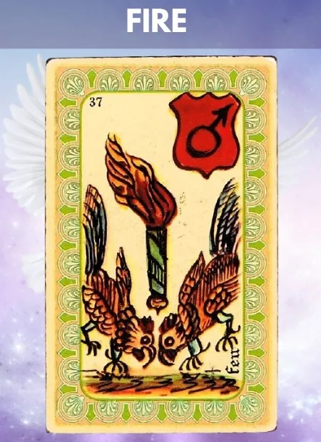 Fire Wellbeing Belline Oracle
