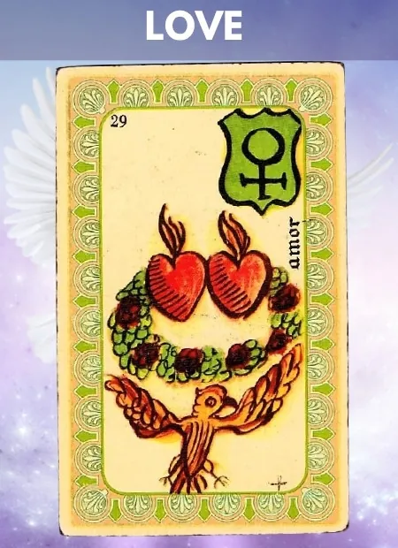 Love Wellbeing Belline Oracle