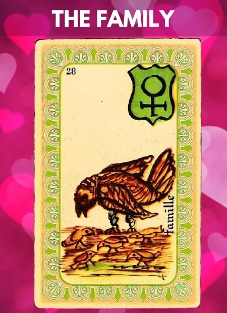 The Family Single Belline Oracle