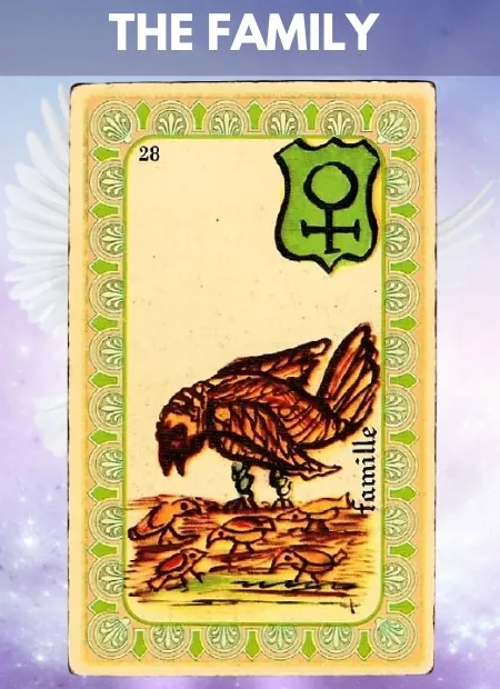 The Family Wellbeing Belline Oracle