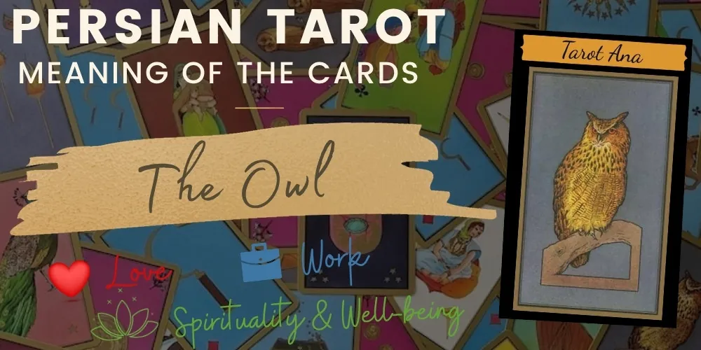 The owl persian tarot