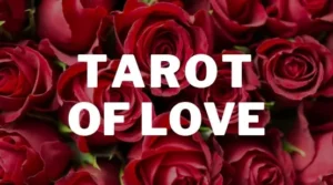 Free 1-Card Tarot Reading