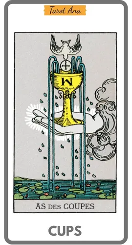 Minor Arcana Cups Tarot Ana