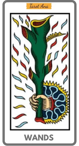 Minor Arcana Wands Tarot Ana