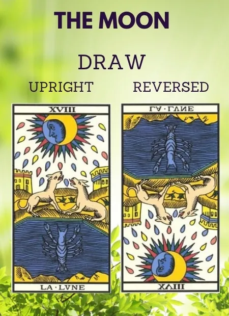free tarot the moon card from the tarot de marseille Health